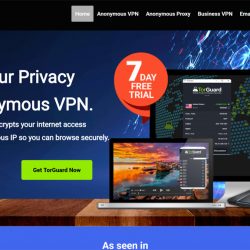 Torguard review: torguard website